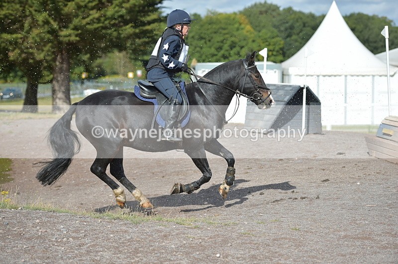 NGP_0297 - XC Time 10:02 to 10:21