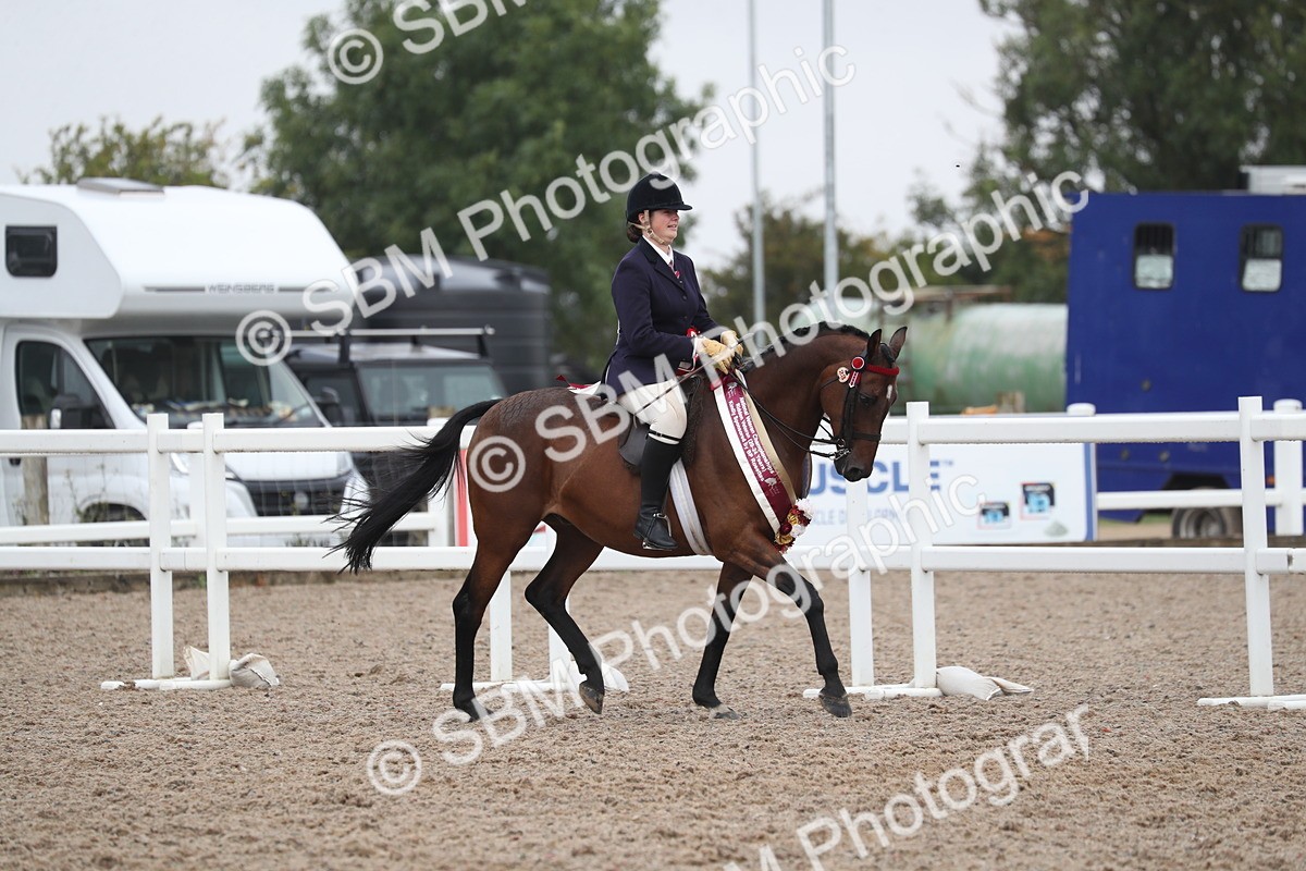 SBM_21676 - Class 602 - 2025 Area - Ridden Veteran