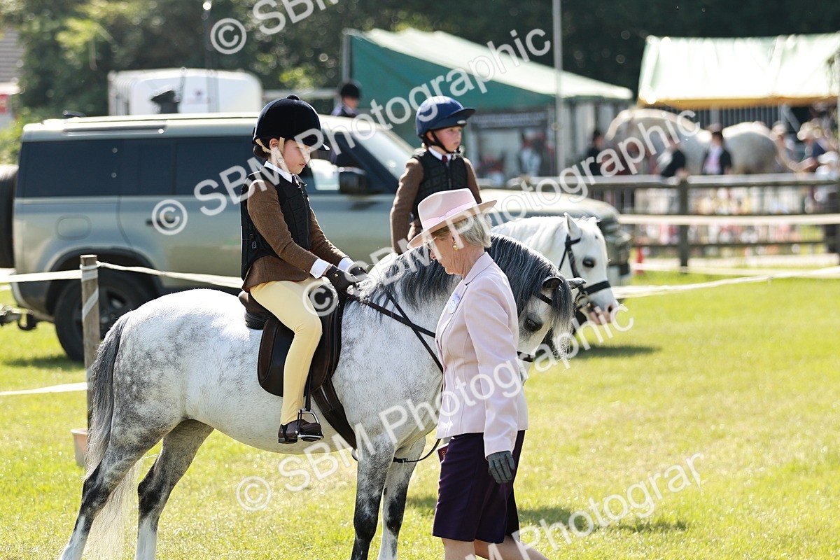 SBM_12707 - Class 106-107 - BSPS LIHS Working Sports Pony