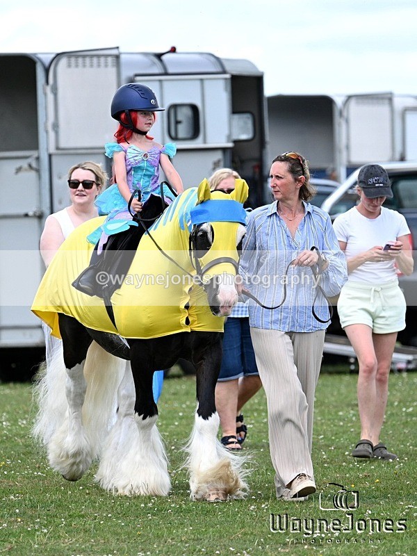 WJ7_7748 - Nancy And Churchill SORC summer show 21-06-26