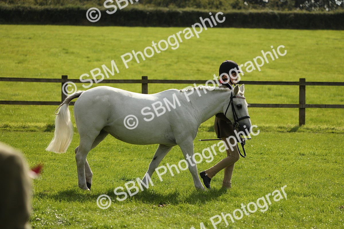 SBM_68557 - S40 - Junior Handler 9-12 Years