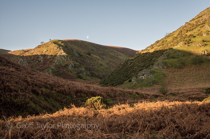 Moonrise over Long Batch - The Long Mynd