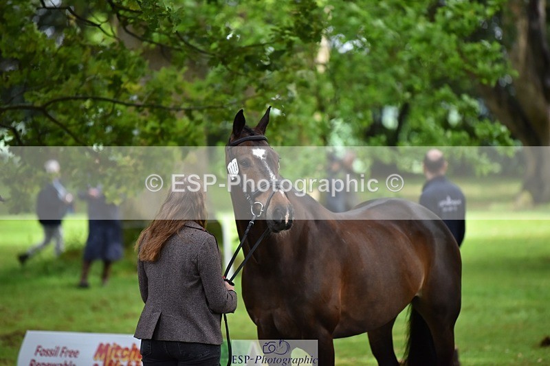 240522-160002-00634 - 113-MONANORE_GOLD-Jemima_Hughes