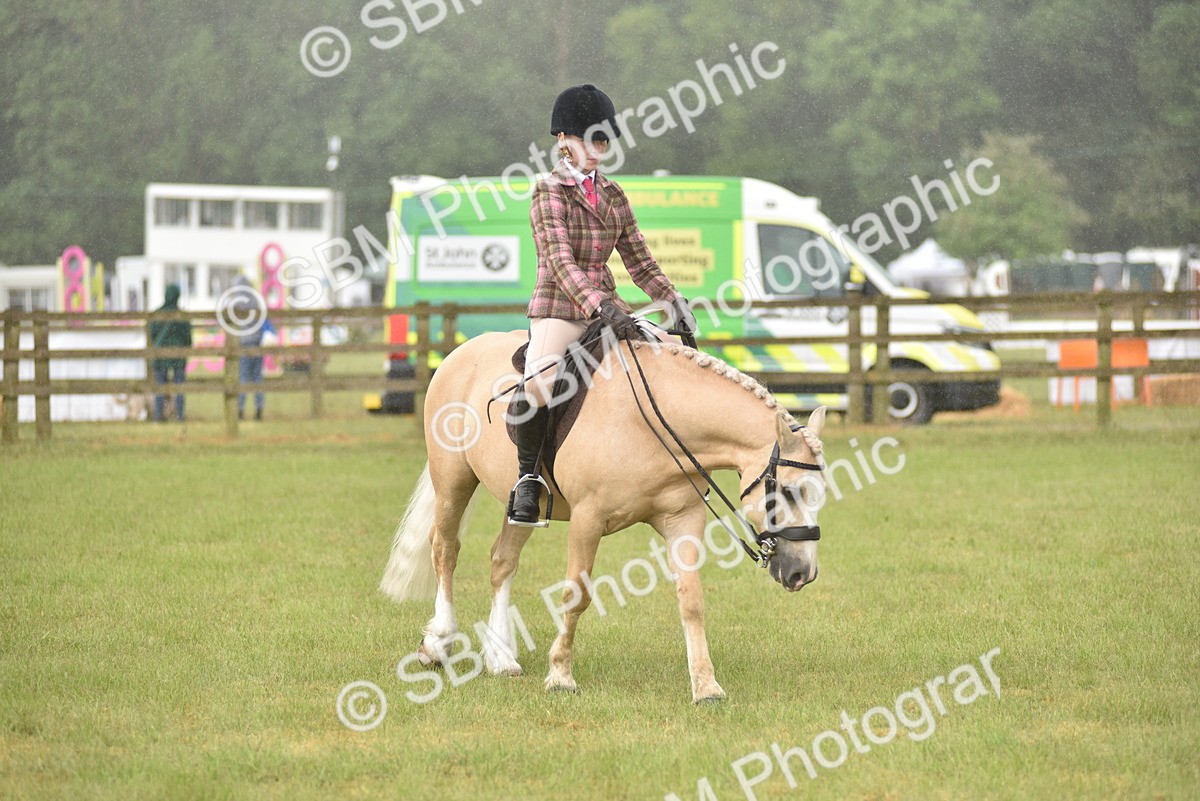 SBM_12020 - Class 110-112 - LIHS BSPS Performance Pones