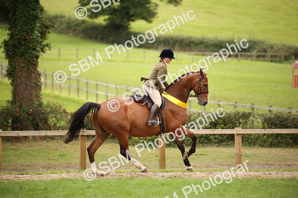 SBM_73668 - Ridden Horse Supreme Championship