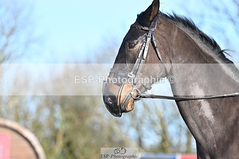 250125-094243-00090 - Dressage - CT Class 3 BE92