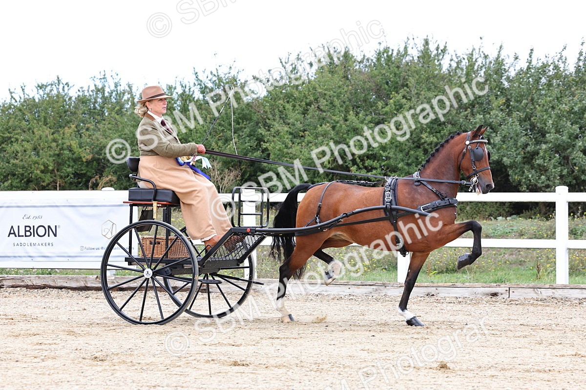 SBM_000345 - Class 2 - Exercise Vehicle 13.2hh & Under