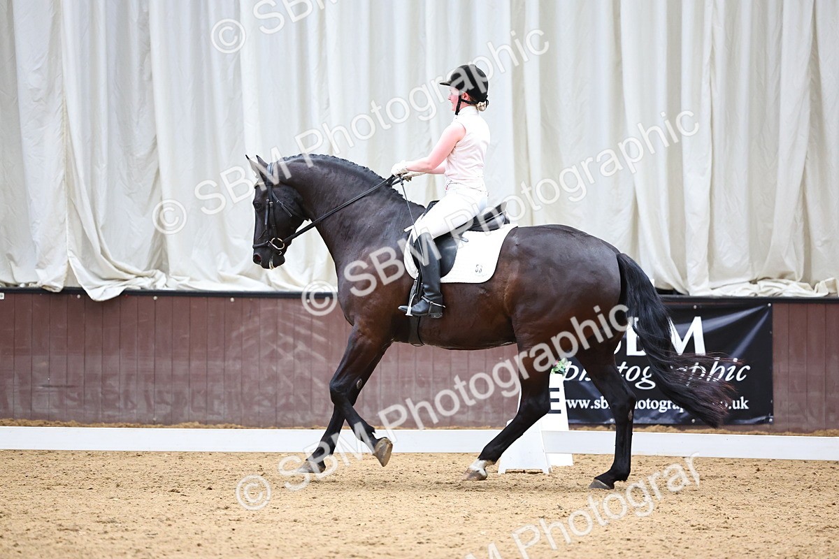 SBM_005541 - Elementary 2