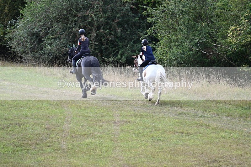 WJ7_4435 - Time 10:54 to 11:16