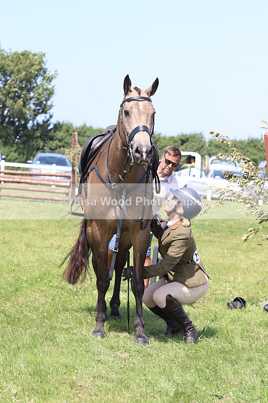 JPP_3328 - Class 22: Working Hunter 70cm