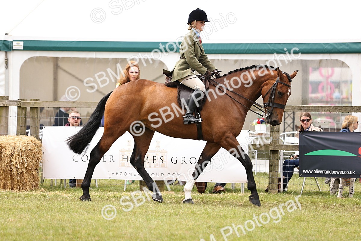 SBM_14656 - Class 88-89 - LIHS BSHA Rising Star of Ridden Hunter Type