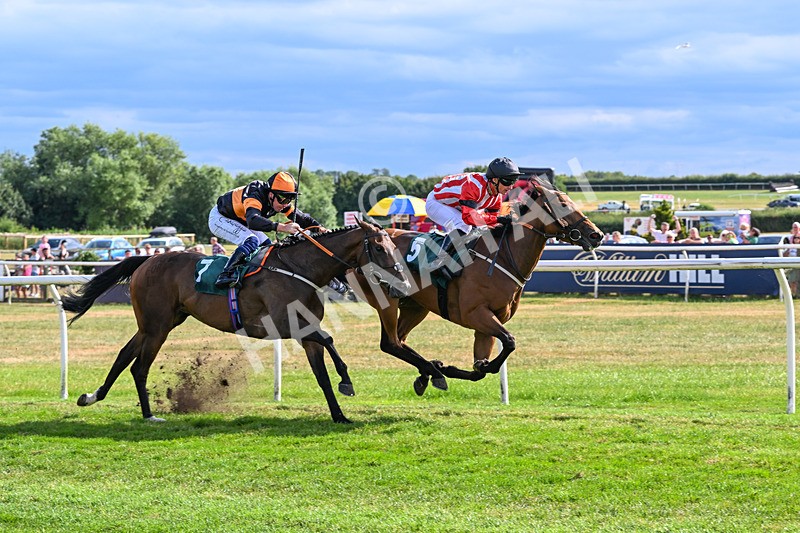 220726-Race 6-Barmyblade-0285 - Race 6 16.42pm Racing Again 4th August Handicap