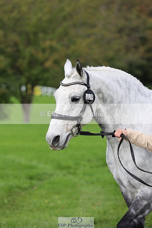 251026A-114606-25674 - F-429-Sarah.Clisby