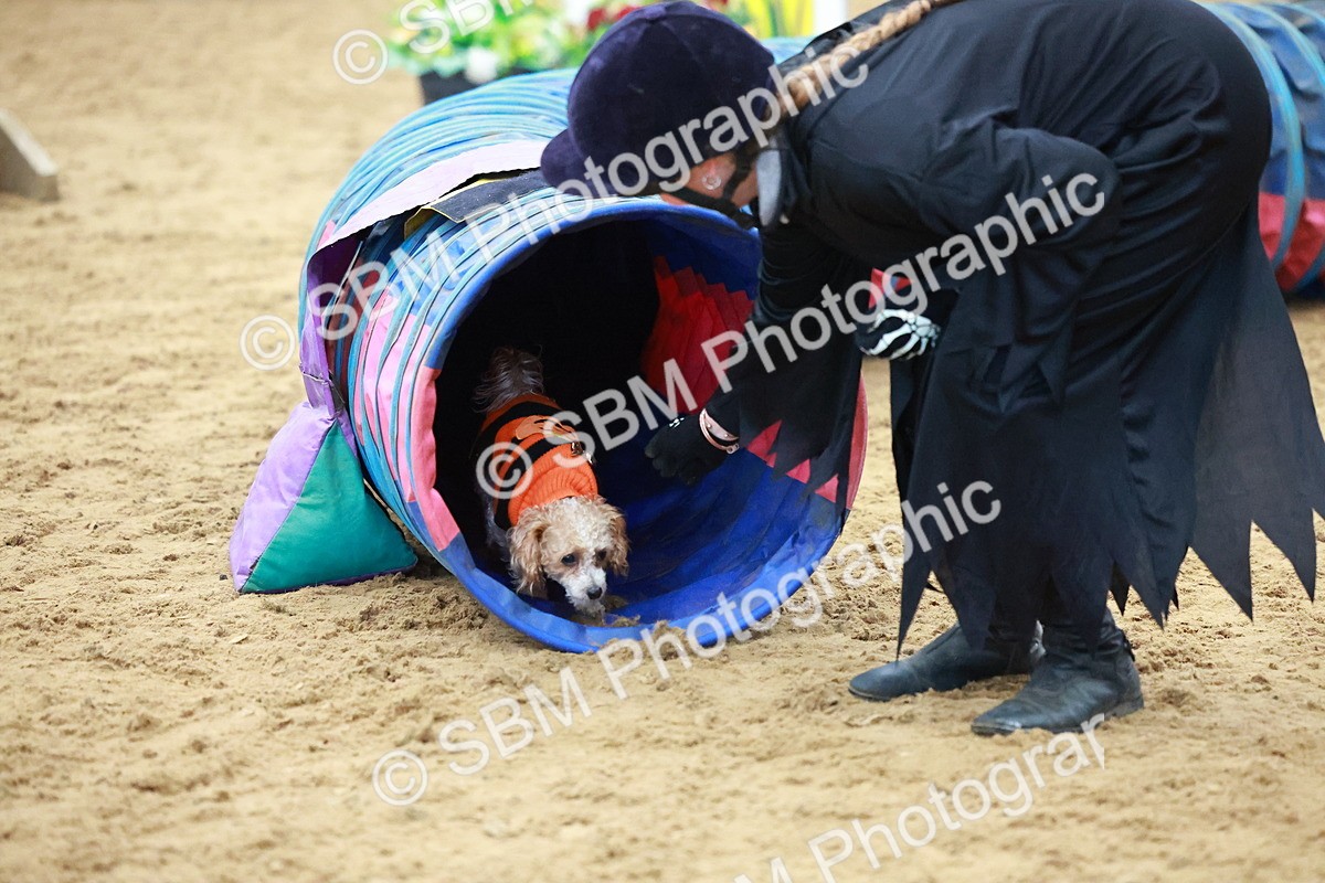SBM_001767 - Class 3 - Horse & Hound (60cm)