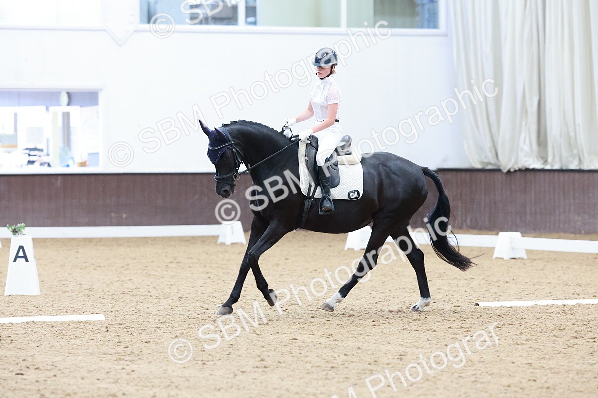 SBM_002339 - Novice 2 - Elementary 1