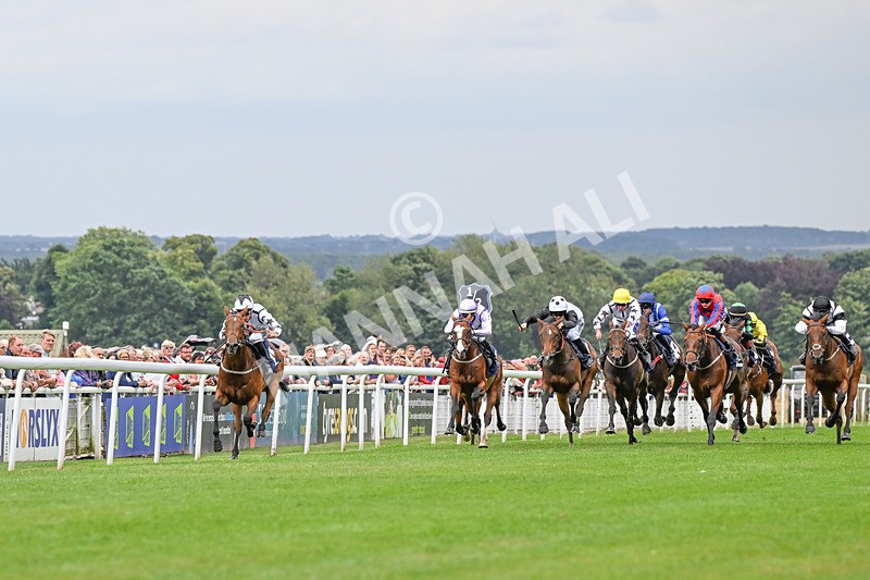 150824-Race 2-Greek Gift-4061 - Race 2