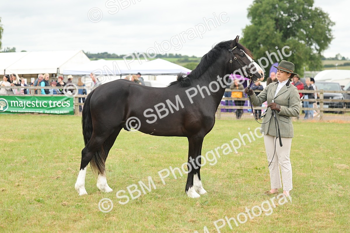 SBM_04823 - Class 50-57 - M&M Welsh Pony In Hand