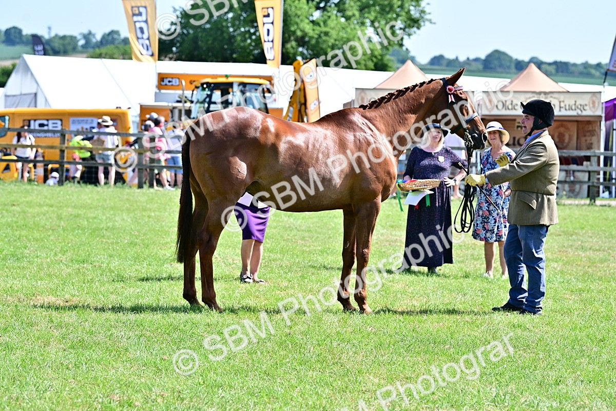 SBM_12859 - Class 98 - Retraining of Racehorse In Hand