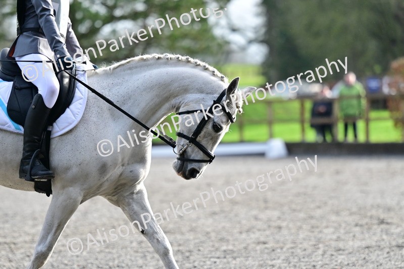 20260125-1014 - Class 11 - Grassroots