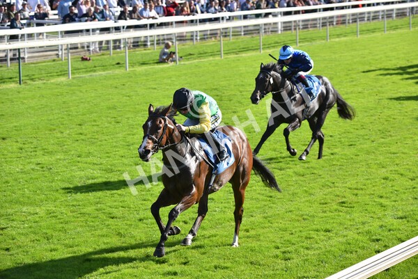 yr08102021r2-21 - Race 2 2.40pm Racing to School EBF Novice Stakes