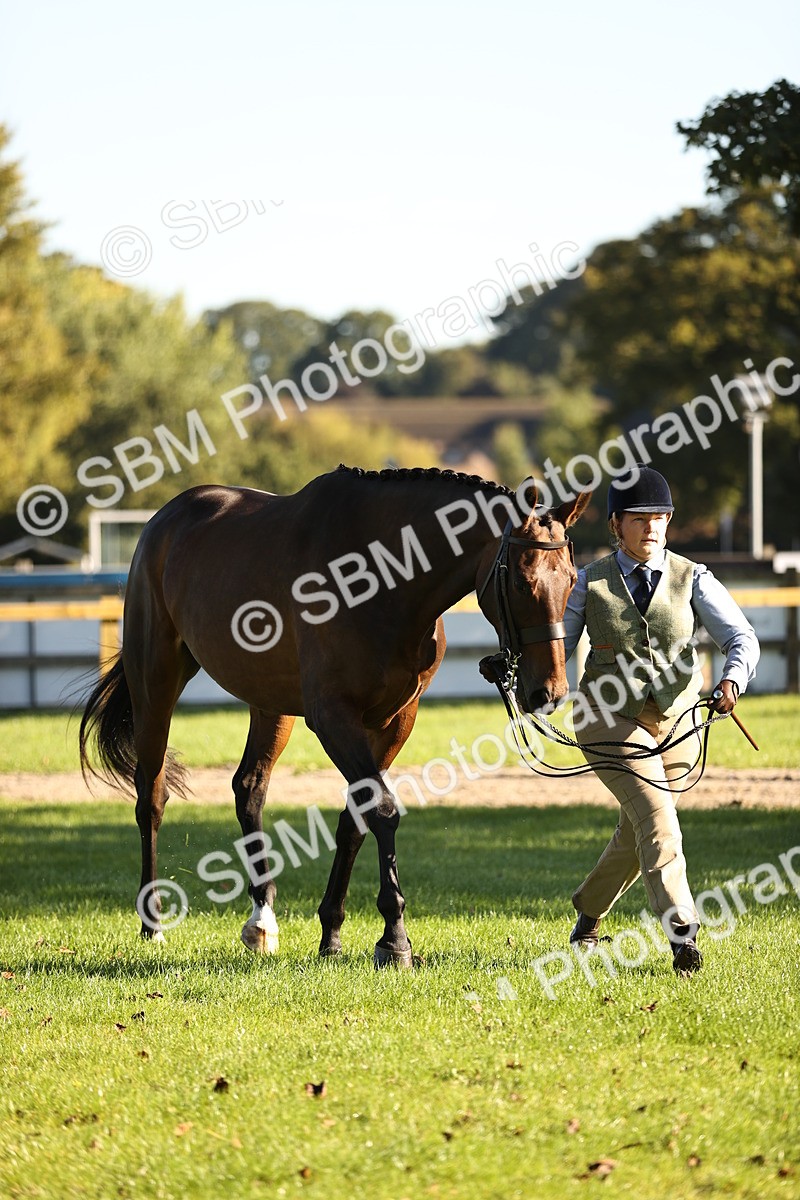 SBM_15746 - S1 - TSR in Hand Horse & Pony Showing