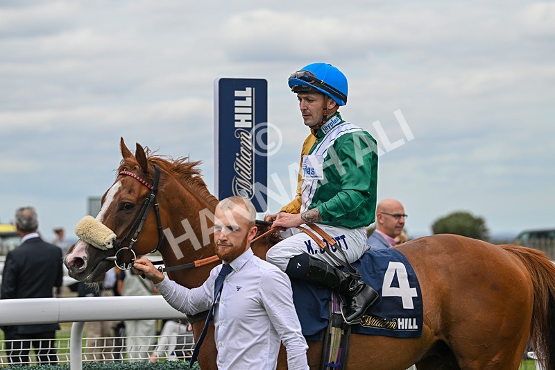 300825-Race 2-Shagraan-0771 - Race 2