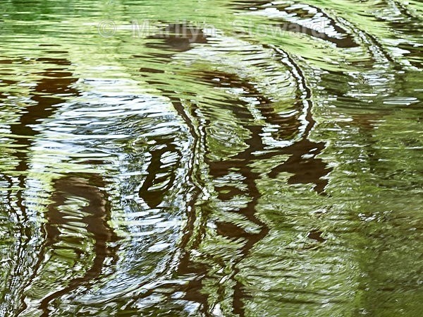 Riga-Beaver water pattern - Scandinavia and The Baltics