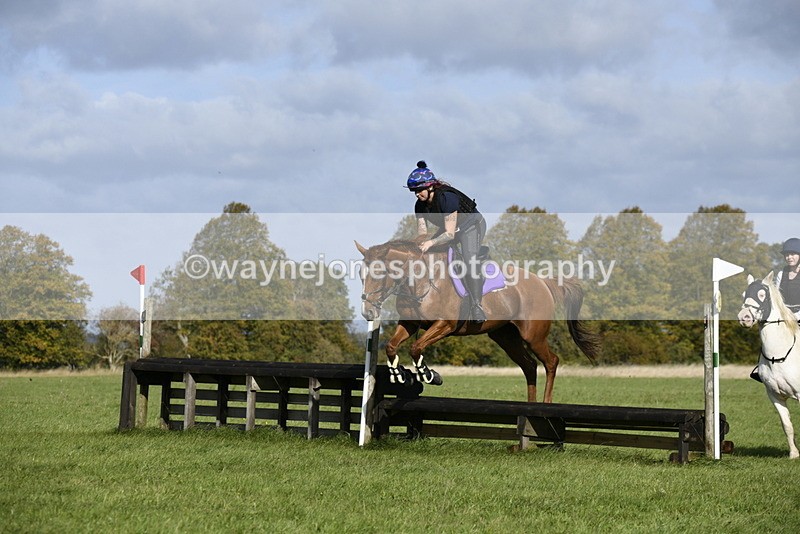 _DSC6196 - Time 11:23 to 12:05