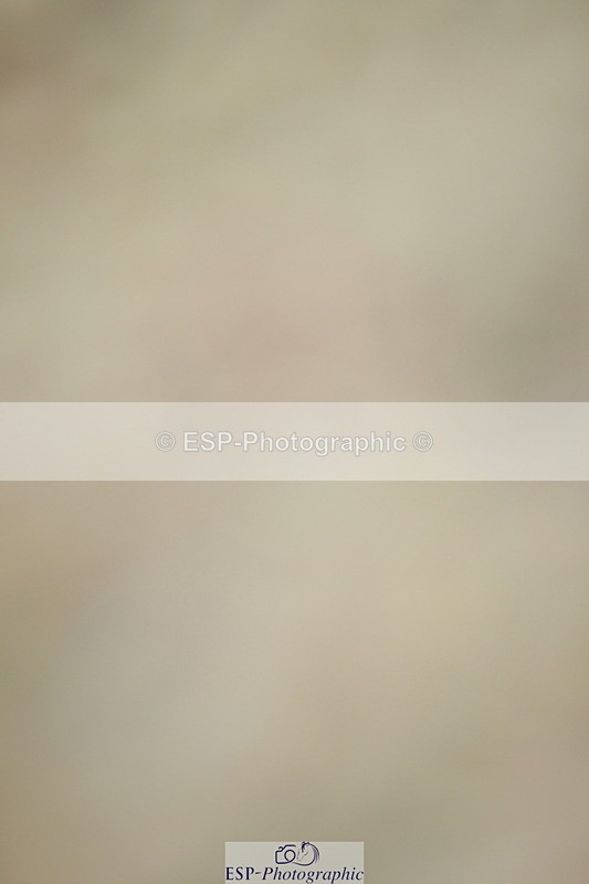 230630A-123700-01896 - Cls 7 Elementary 45