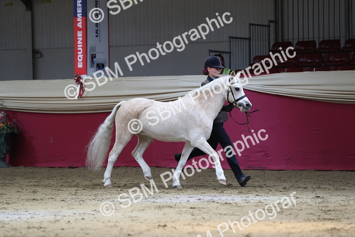 SBM_04327 - Class 7R Regional - IH Diamond