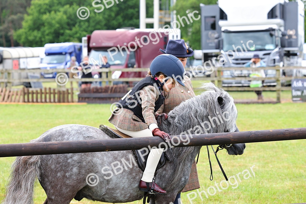 SBM_08119 - Class 42-43 - LIHS BSPS Heritage Working Sports Pony