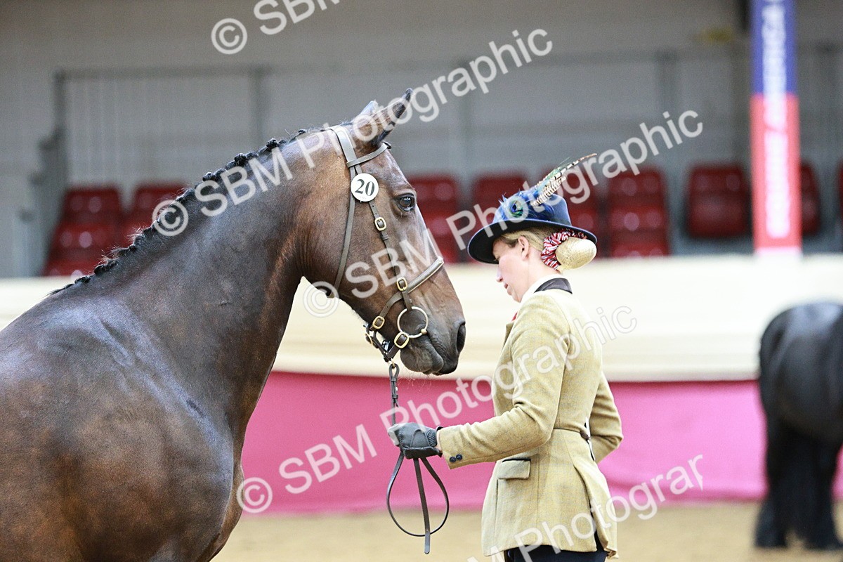 SBM_01005 - Class 2A - Area IH Veteran