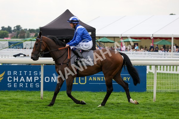 yr20082021r4-11 - Race 4 3.35pm Coolmore Wootton Bassett Nunthorpe Stakes (British Champions Series Race)