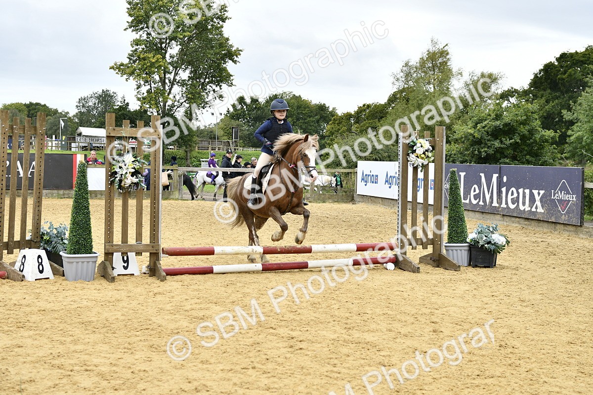 SBM_65492 - J2a mini Tour Junior Pony 30cm Championship