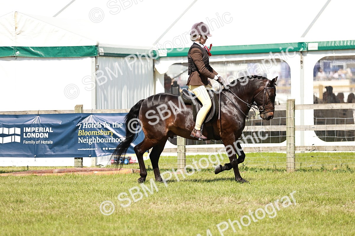 SBM_17681 - Class 112-113 - BSPS LIHS Working Sports Pony