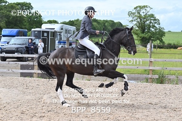BPP_8559 - CLASS 15 SUN Senior Newcomers/ 1.10m Open