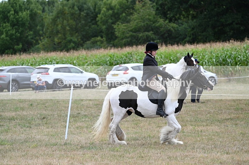 WJ7_4447 - Class 11 Family Mount