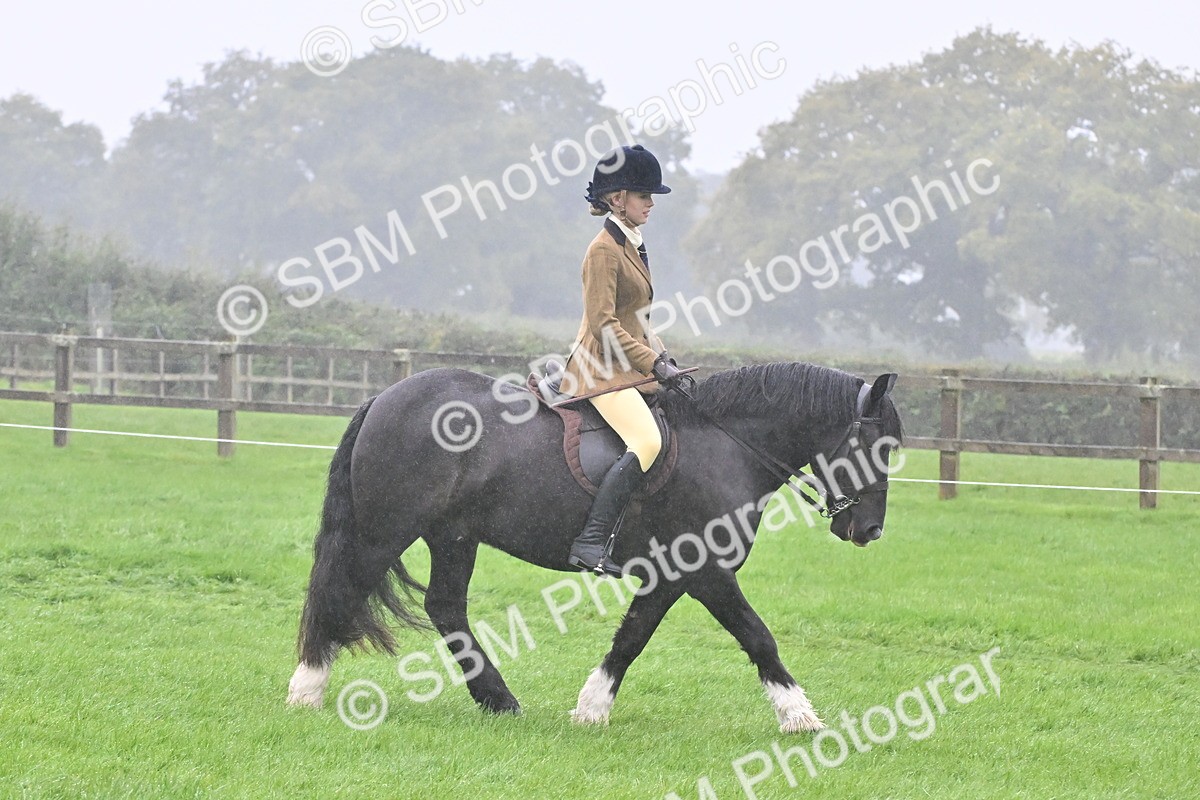 SBM_72407 - S43 - Ridden Equitation Best Rider