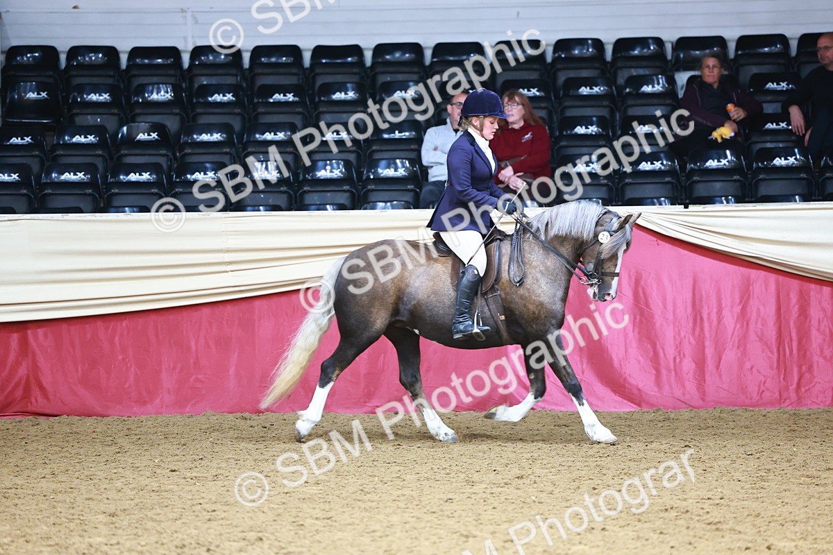 SBM_23766 - Class 905 - Supreme Final - Ridden Veteran