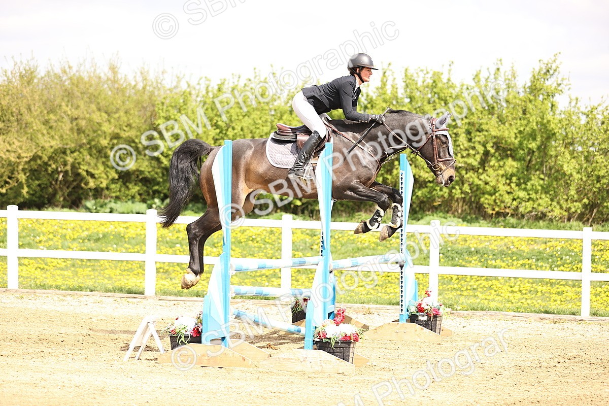 SBM_002024 - Class 10 - Senior British Discovery - 1.00m