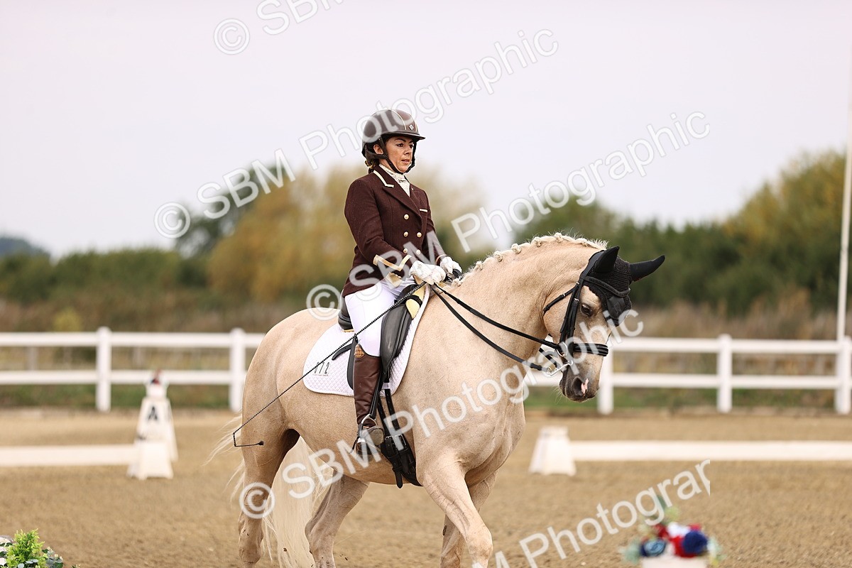 SBM_011504 - Class 1 - Medium 5