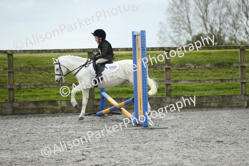 20260412-0702 - Show Jumping