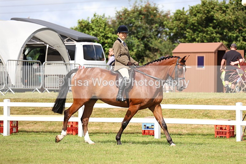 3E7A9254 - Class 4: Rising Star M/H Hunter