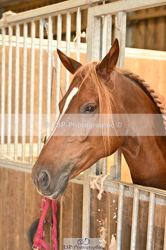 250821B-125220-00449 - Stable Shots and Group Photo