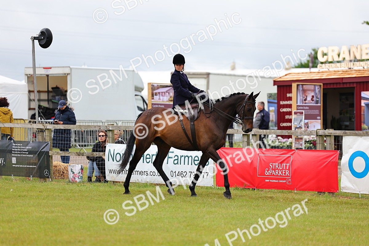 SBM_02831 - Class 9-11 Side Saddle including LIHS Rising Star Ladies Show Horse