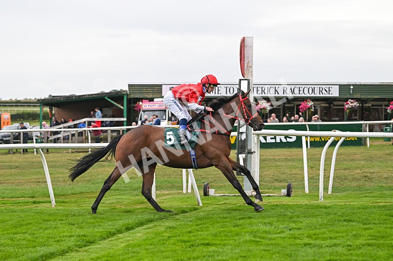 270825-Race 2-Rogue Attraction-4871 - Race 2