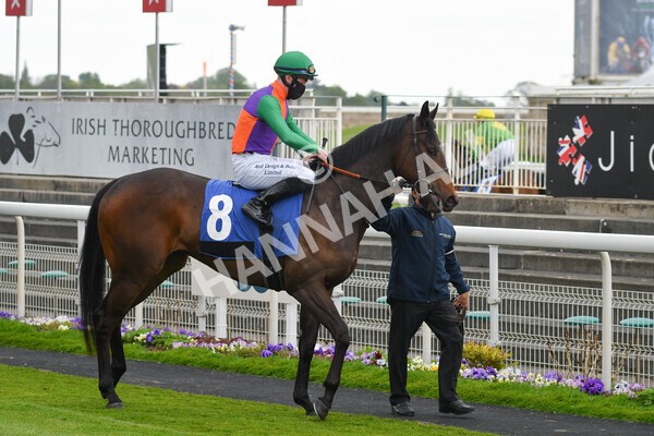 yr14052021r6-5 - Race 6 4.15pm Yorkshire Equine Practice Stakes