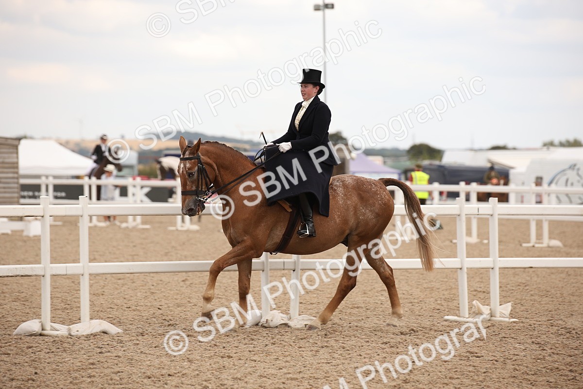 SBM_05362 - Class 22 SSA Equitation