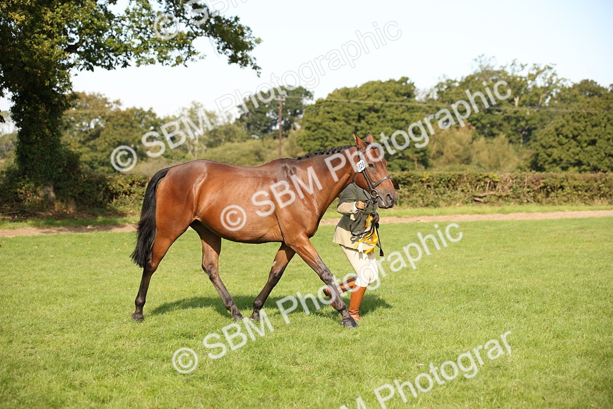 SBM_60147 - S53 - Hunter In Hand