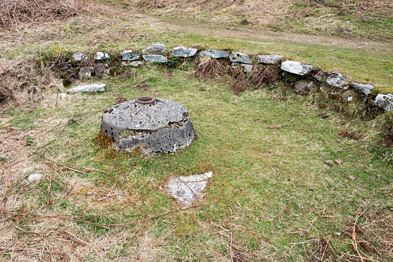Golden Dagger mine buddle - Golden Dagger tin mine